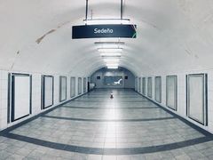 -维乐口腔医院(星海湾分院)