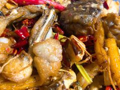 干锅牛蛙-馋嘴蛙火锅