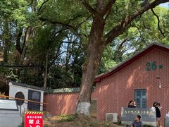 -马王堆汉墓遗址