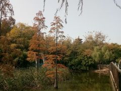-八大关景区