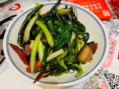 -壹盏灯(惠农店)