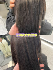 -YESIDO椰岛造型