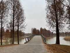 -宁波杭州湾国家湿地公园