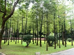 -晓港公园