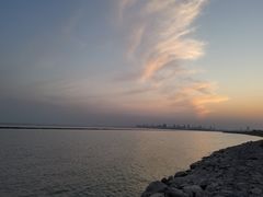 -合肥滨湖国家森林公园