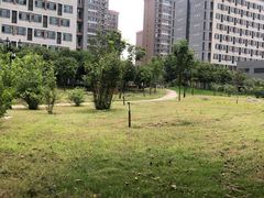 -河南财经政法大学(郑东校区)