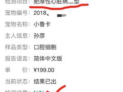 布偶猫遗传性基因病检测均为N/N-Bastet sally猫舍购宠(静安店)