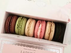 -Pierre Marcolini(德基广场店)