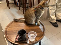 -Again Coffee Roaster(香蜜湖店)