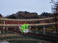 -福道
