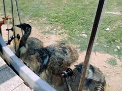 -无锡动物园·太湖欢乐园