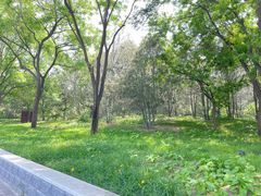 -元大都城垣遗址公园