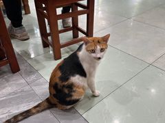 -晓马鸭店(新芜路店)