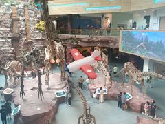 -安徽省地质博物馆