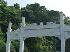 -羚羊峡古栈道森林公园