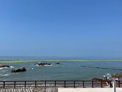 -小麦岛公园