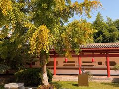 -徐州汉画像石艺术馆