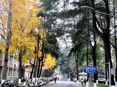 -四川大学(望江校区)