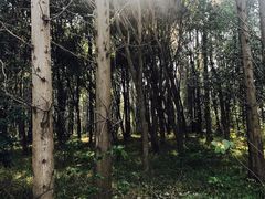-同里国家湿地公园