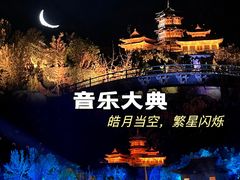 -禅宗少林·音乐大典