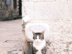 -布德瓦老城
