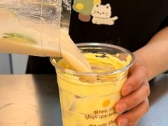 -猫的魔法密林(衣裳街店)