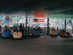 -晓港公园