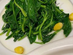 -眉州东坡(远洋未来广场店)