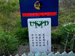 -小绿谷公园