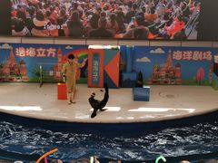 -成都浩海立方海洋公园