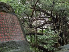 -乌山风景区