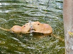 -水上乐园·欢乐世界