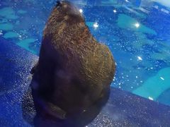 -重庆欢乐海底世界