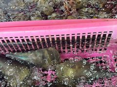 -众味海鲜大排档·活海鲜·潮汕味(南澳店)