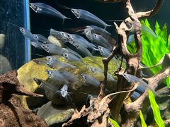 -太平洋海底世界