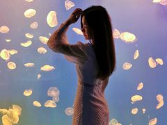 -江和美海洋公园