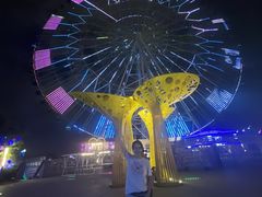 -南昌之星摩天轮