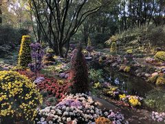 -上海共青森林公园