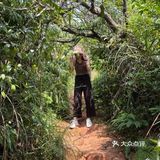 梅林山郊野径｜无楼梯爬山