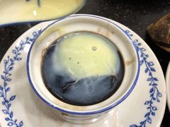 龟苓膏-達揚原味燉品(文明路店)