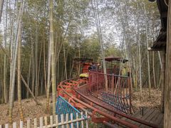 -宁波浙东大竹海景区