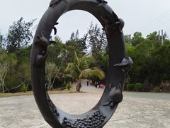 -广东惠东海龟国家级自然保护区
