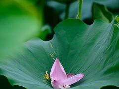 -上海植物园·停车场