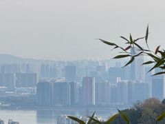 -九曜山
