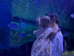 -常州海昌海洋探索馆