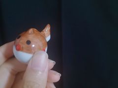 -肆月河豚·新淮扬菜·烤鸭(中关村店)