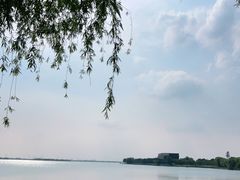 -漕湖湿地公园