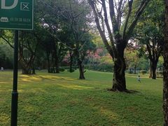 -晓港公园