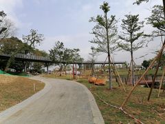 -王借岗森林公园