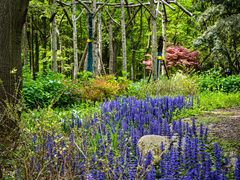 -上海共青森林公园